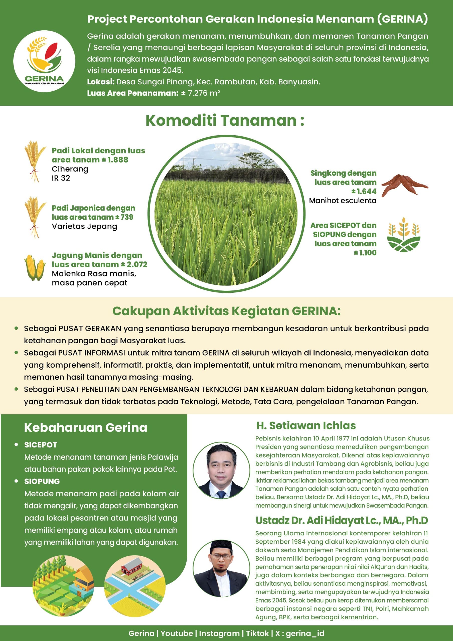 infografis
